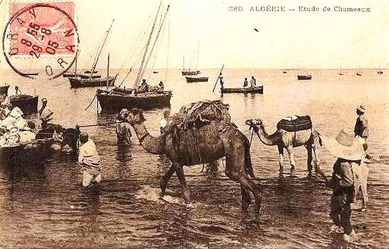 Oran 026.jpg